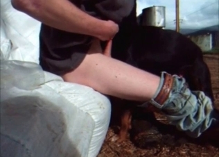 Hard cock sucked by a dog