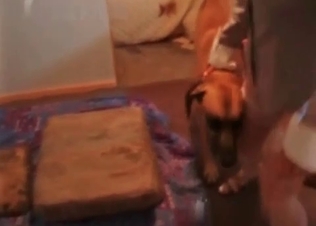MILF-y pussy licked by an animal
