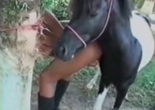 Young chick with a hot pony