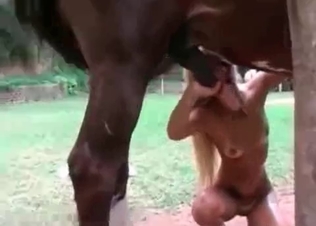 Horse cum is the best ever