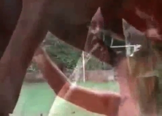 Horse cum is the best ever