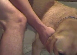 Owner fucking this sexy mutt