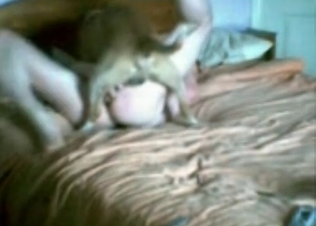Hardcore sex with a fast fucking dog