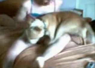Hardcore sex with a fast fucking dog