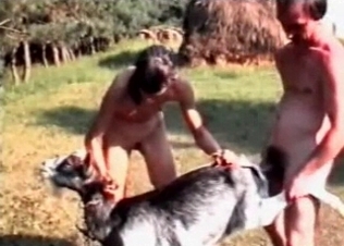 Anal sex for this slutty animal