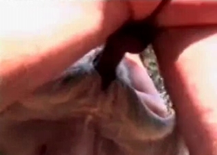 Anal sex for this slutty animal