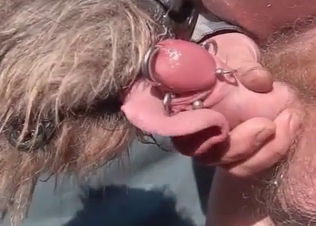 Pierced dick serviced orally by a dog