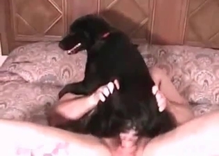 Close-up shots of a guy fucking a horse
