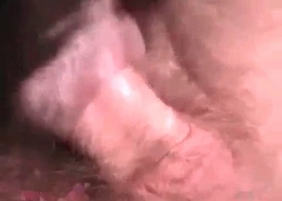 Close-up shots of a guy fucking a horse
