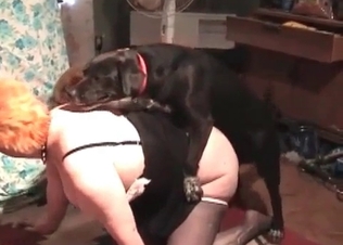 Dog fucking a tight, juicy snatch