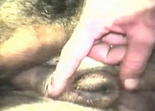 Animal balls getting massaged