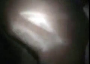 Nighttime animal fucking
