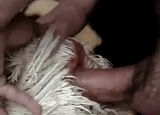 Animalistic sex for a tiny dick