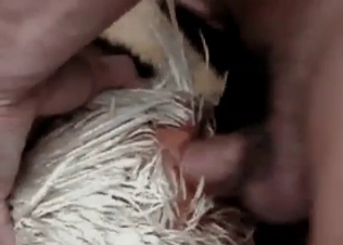 Animalistic sex for a tiny dick