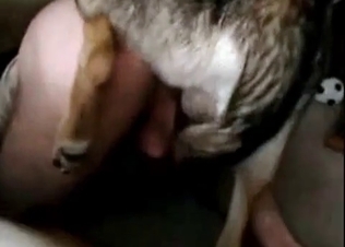 Bowwow’s dick gets pleasured