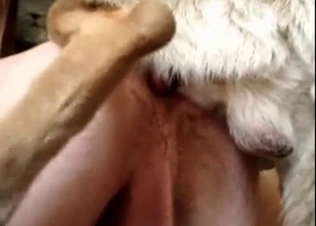 Bowwow’s dick gets pleasured
