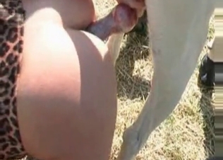 Tight pussy fucked by a white dog
