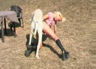 Tight pussy fucked by a white dog