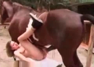 Collared bitch destroyed by a horse