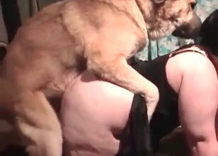 Two fat girls fucked by a mongrel