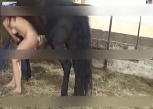 Very big horse fucked her tight cunt from behind
