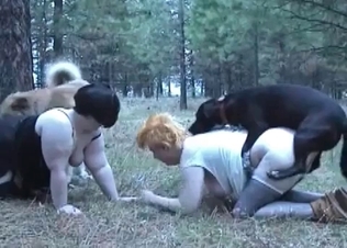 Two BBW zoophiles fucking outdoors