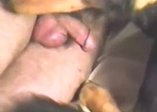 Bad bitch getting fucked by a hard human dick