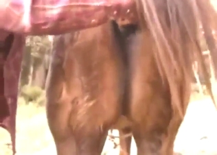 Huge horse cock in a zoo XXX movie with ORAL