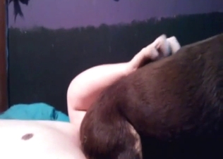 Dog enjoys facesitting with a horny licker