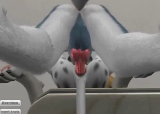 Wild animals enjoying each other in furry porn