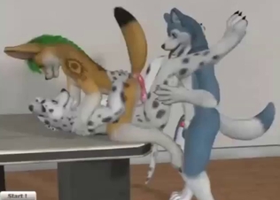 Wild animals enjoying each other in furry porn