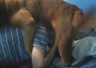 Doggystyle oral fuck with dog, bestiality porn