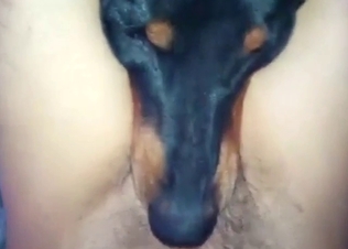 POV zoophile BJ scene with a slutty fucking dog
