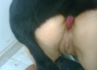 Pink pussy zoophile gets fucked from behind