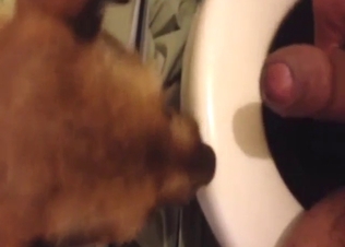 First-ever blowjob from a sexy dog that licks