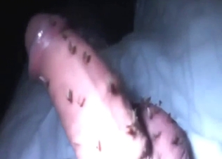 Mosquito fuck with a large, juicy-looking penis