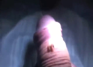 Mosquito fuck with a large, juicy-looking penis