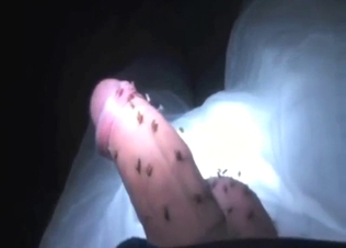 Mosquito fuck with a large, juicy-looking penis